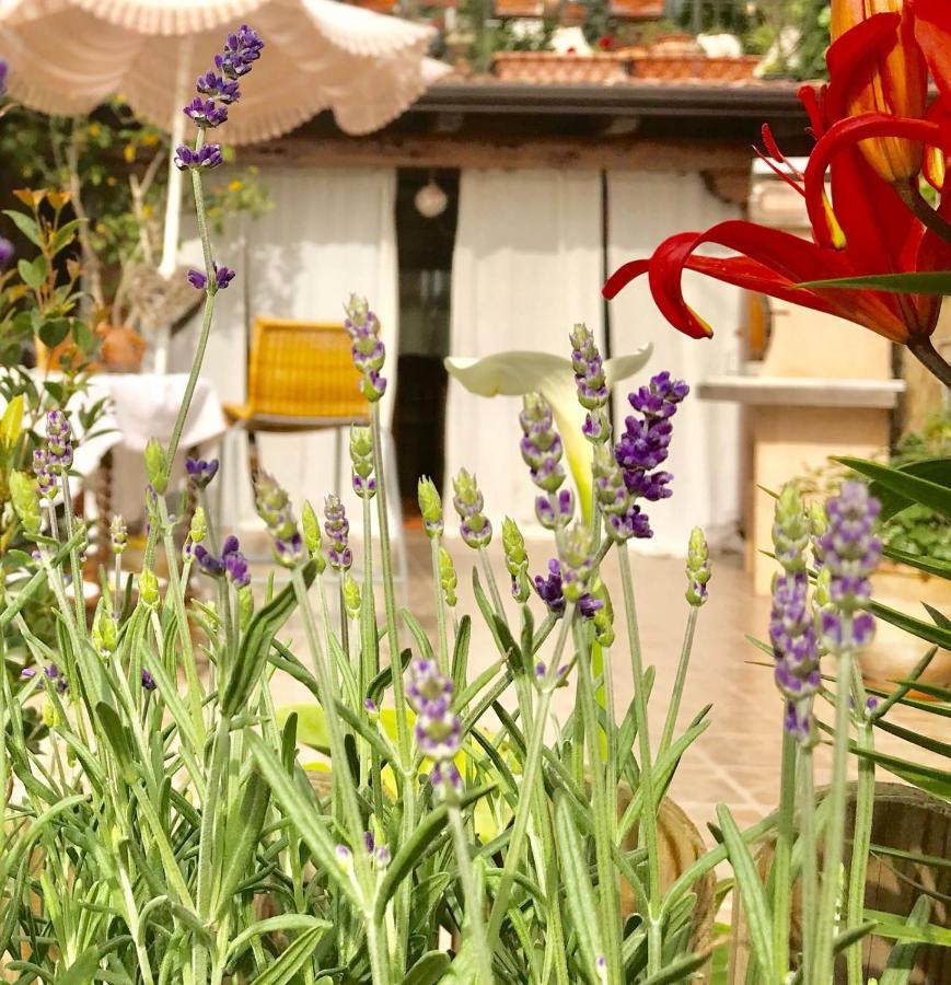 B&B La Vita E Bella Ачитрецца Экстерьер фото